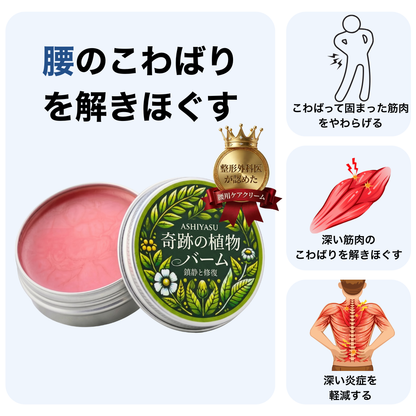 KOKOCHI 奇跡の植物 腰サポートケア