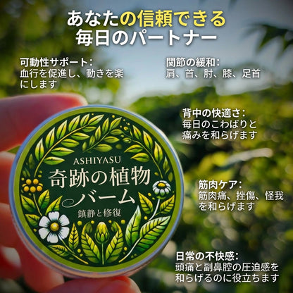KOKOCHI 奇跡の植物 関節サポートケア